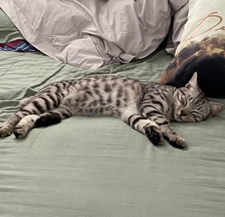 Youth in Transition tweet media