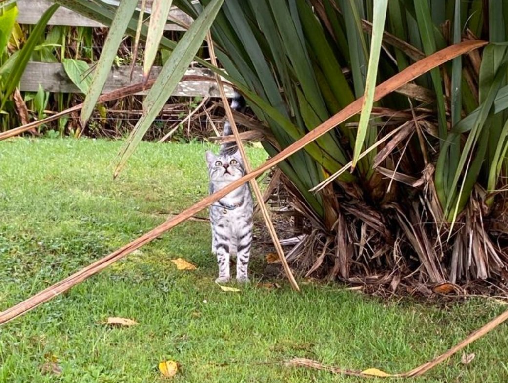 Youth in Transition tweet media