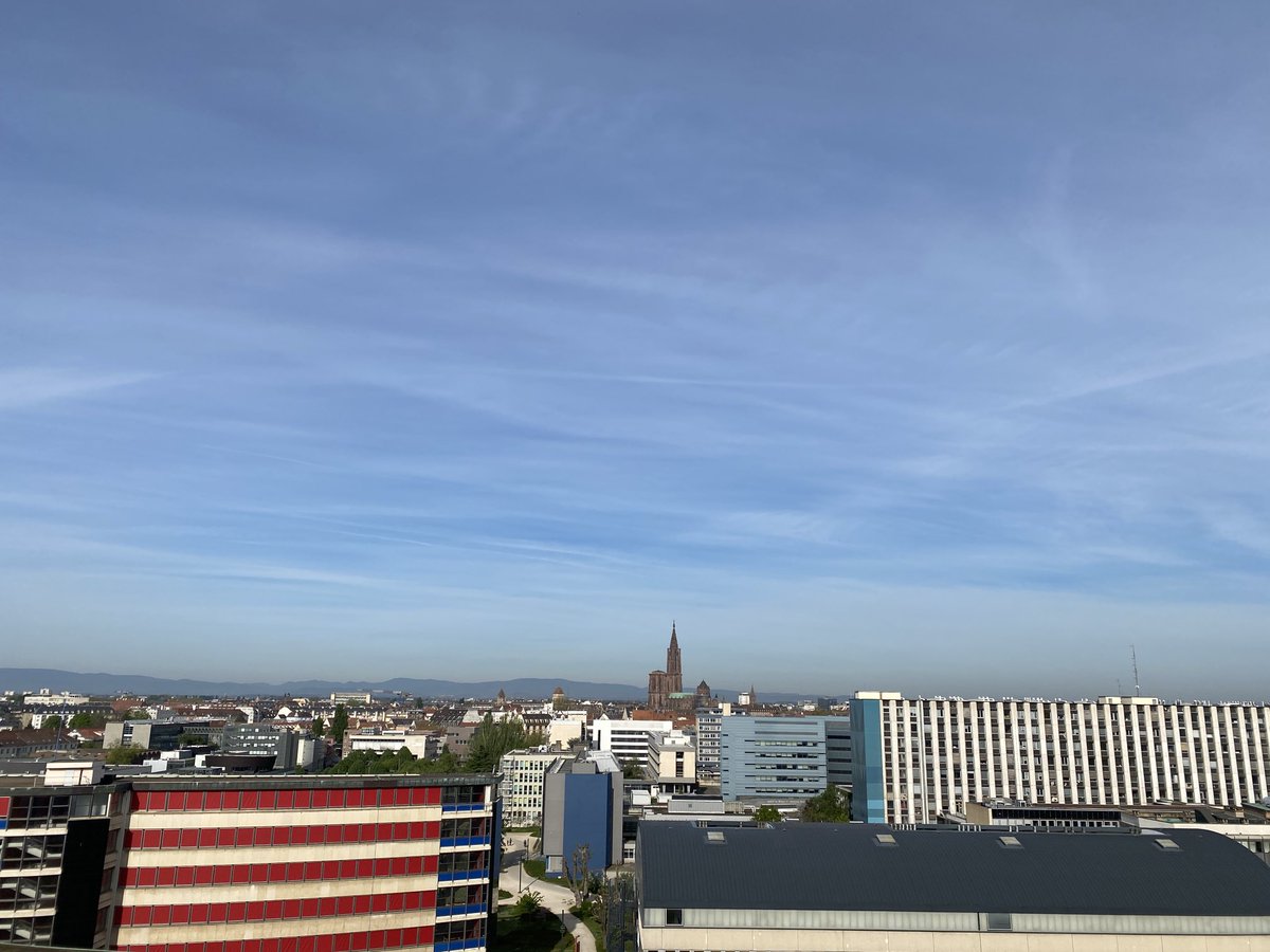 Oublié du terrestre, le ciel ce matin au-dessus de Strasbourg.