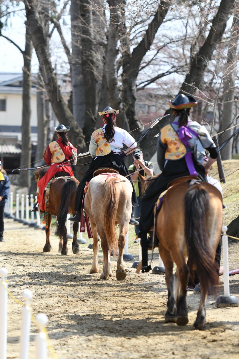 d500_70_200's tweet photo. 桜流鏑馬初参戦
桜が咲いていれば…
明日も参戦予定
#桜流鏑馬 #Nikon https://t.co/Y1ErSVwsn4