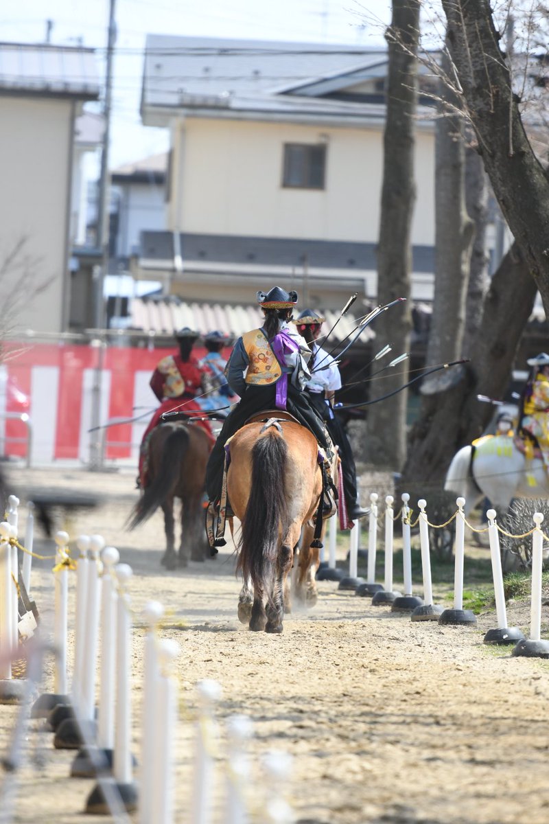d500_70_200's tweet photo. 桜流鏑馬初参戦
桜が咲いていれば…
明日も参戦予定
#桜流鏑馬 #Nikon https://t.co/Y1ErSVwsn4