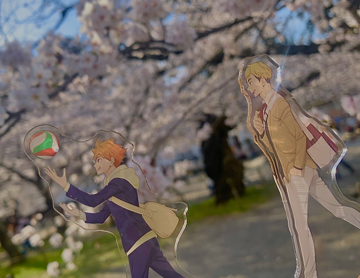 mmmggom's tweet image. 🍊🦊🌸