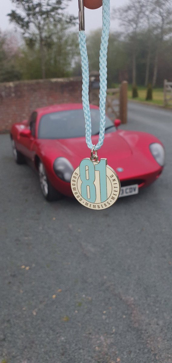 Goodwood members meeting with the Wells Vertige. <a href="/GoodwoodMC/">GoodwoodMotorCircuit</a> <a href="/GoodwoodRRC/">Goodwood Road & Racing</a> #81MM #Vertige