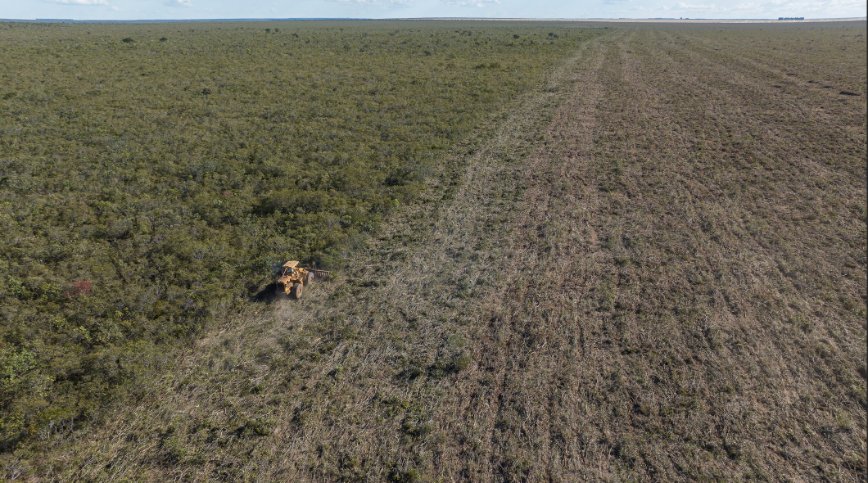 Deforestation in the #Cerrado was up 43% last year. This is tragic global #biodiversity & the #climate. The NGO @earthsight has uncovered the role #fastfashion sold in Europe plays in this destruction, big firms such as @ZARA & @hm stand accused: fm4.orf.at/player/2024041… @radiofm4