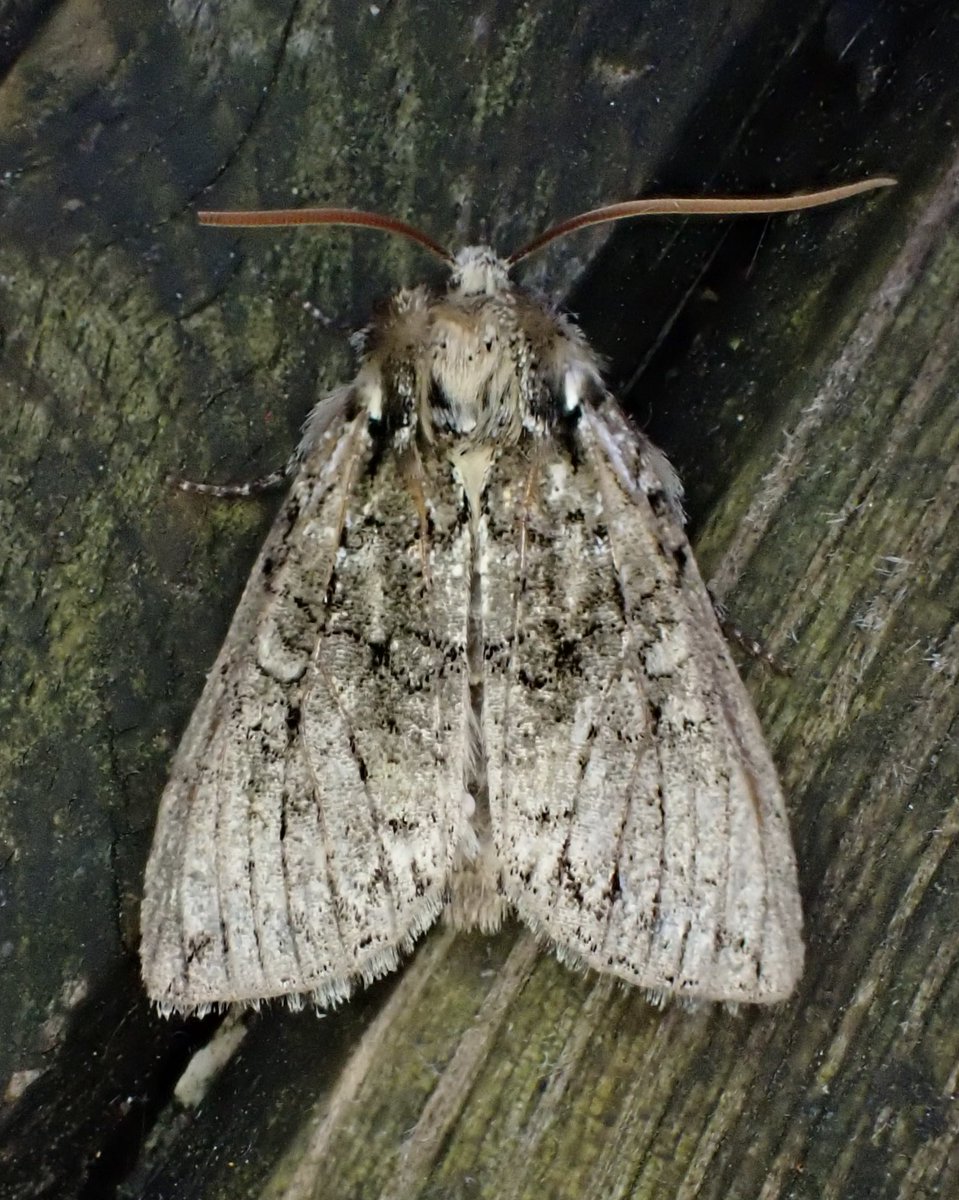 DR63M's tweet photo. @MOTHIDUK I'd appreciate some help with this one. https://t.co/nluQY4a0Aj