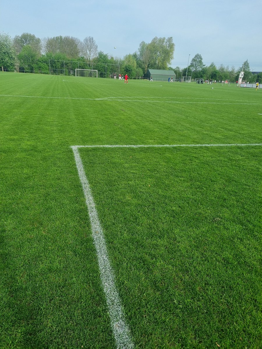 CorneVerhoeven2's tweet photo. @KozakkenBoys respect voor de buitenlaag,veld ligt er echt strak. bij. https://t.co/10ugZ4bHw0