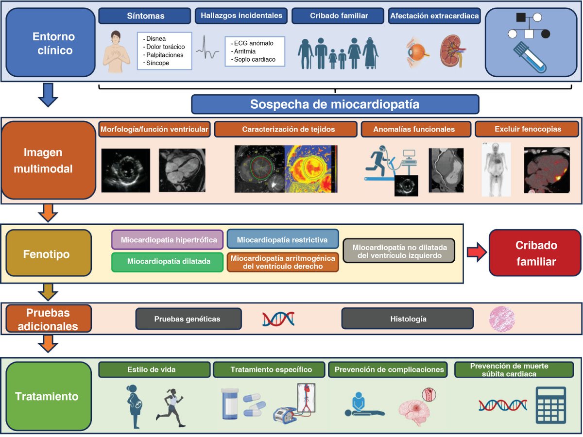 cardioteca's tweet photo. 🆕 Comentarios de Experto a la Guía ESC 2023 sobre el tratamiento de las miocardiopatías.

📕 Rev Esp Cardiol
🔓 https://t.co/w1qnUd0w81 https://t.co/JLGyOrEu3j
