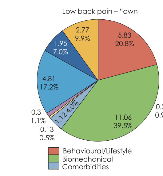 CorKinetic's tweet photo. How do people make sense of back pain?

The emphasis on biomechanical factors, which was double that of psychological factors &amp; more than five times placed on social factors, strongly contrasts with contemporary recognition of LBP as BPS condition

https://t.co/YoGHPcI0Ye https://t.co/XPKDBumRWP