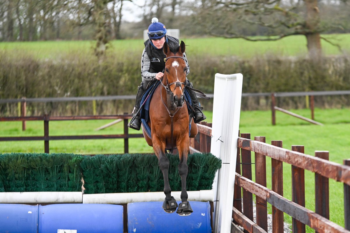 Today we head to @Chepstow_Racing with Bolsover Bill. Best of luck to his owners Jersey Racing Friends. Read my thoughts ⬇️ harryderhamracing.com/chepstow-satur…