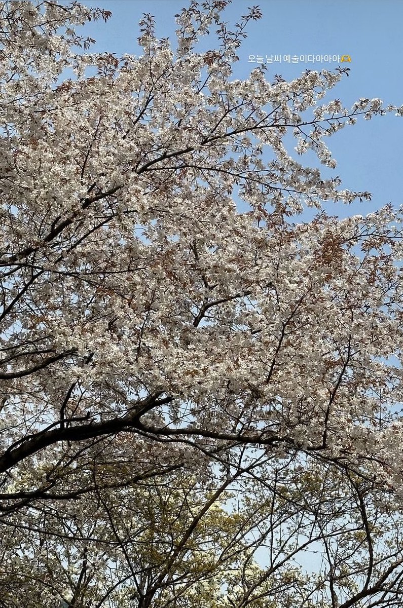 jiyeon2 instagram story🆙
: Today’s the weather amazing ahhhhhhh🫶
#T_ARA #TARA 
#Jiyeon #지연 #티아라