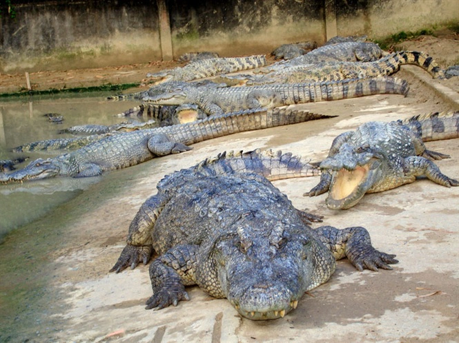 jfudh $FAME tweet media