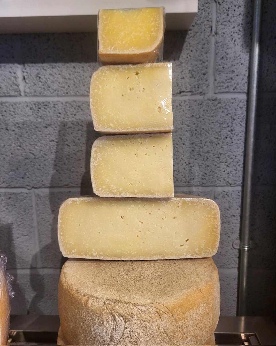 fancycheeseco tweet picture