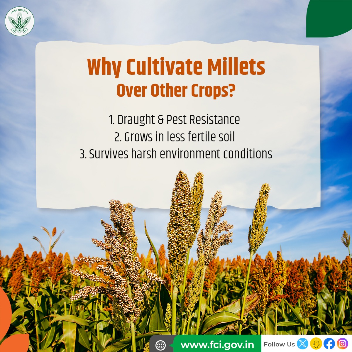 Let us revive the traditional Indian agriculture practice of growing & consuming millets. Its time we adopt sustainable food system. Millets don’t require heavy dose of fertilizer & are source of essential nutrients.