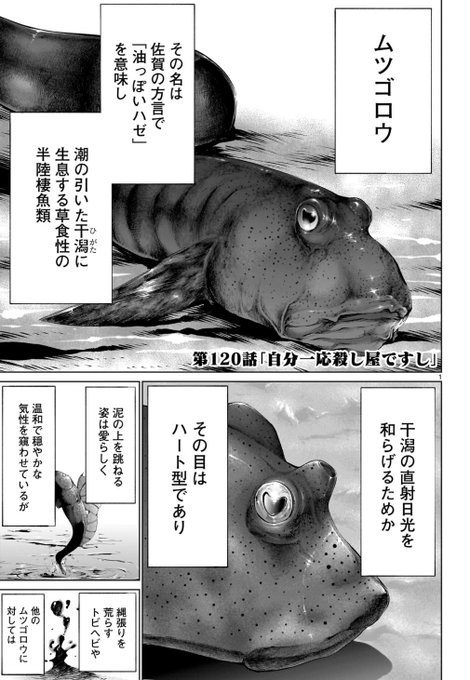 ムツゴロウは何故ムツゴロウと呼ばれるのか(1/3) 