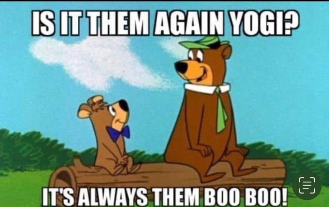 Boo boo: Is it them again Yogi.....