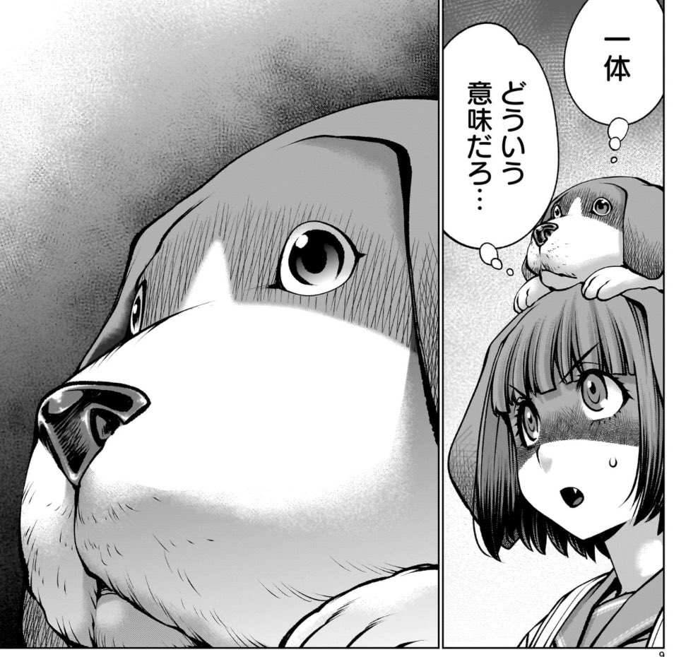 ムツゴロウは何故ムツゴロウと呼ばれるのか(3/3) 