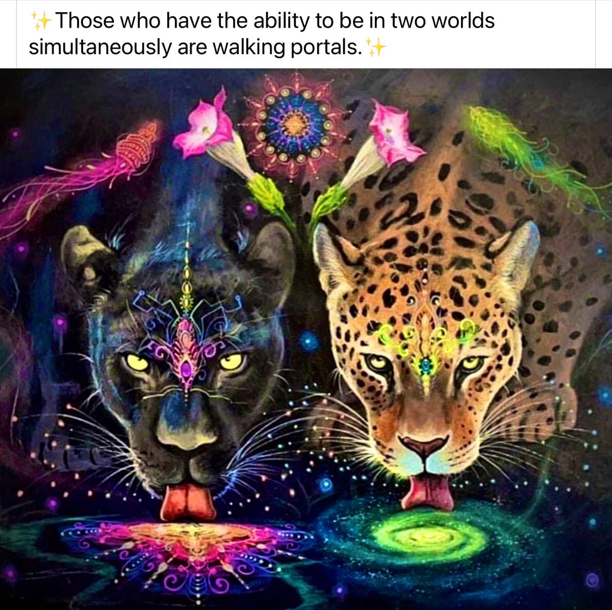 travelanita1's tweet image. ✨🌟💜🌟✨