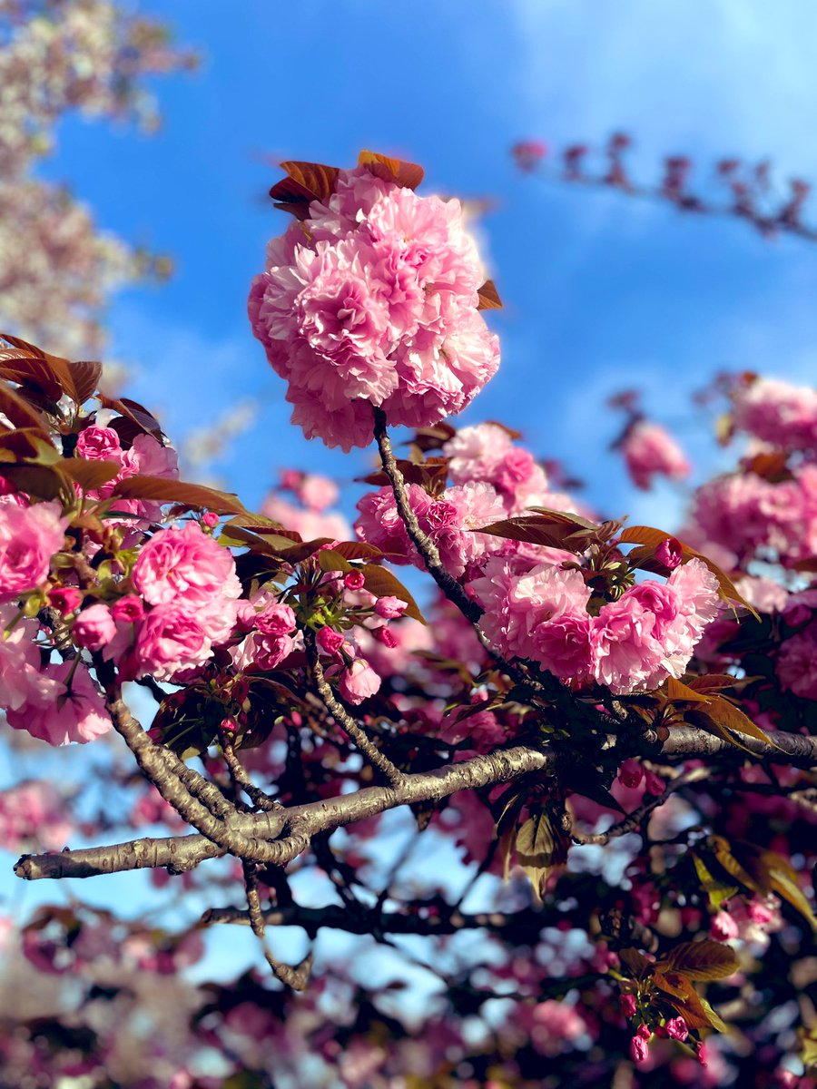 ＃イマソラ　＃黒目川　＃乾杯　＃アサヒビール🍺

最高の土曜日😆
乾杯🍻