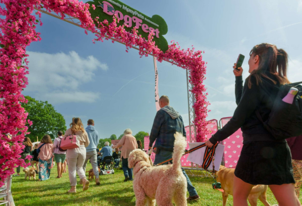 📣 2 weeks to go! 📣 We're SO excited for 2024's first @DogfestUK at Loseley Park, Surrey 🎉 Whether you're joining us here or at any of the other 6 locations, we can't wait to see you at the agility ring! Let us know if you're going 👇