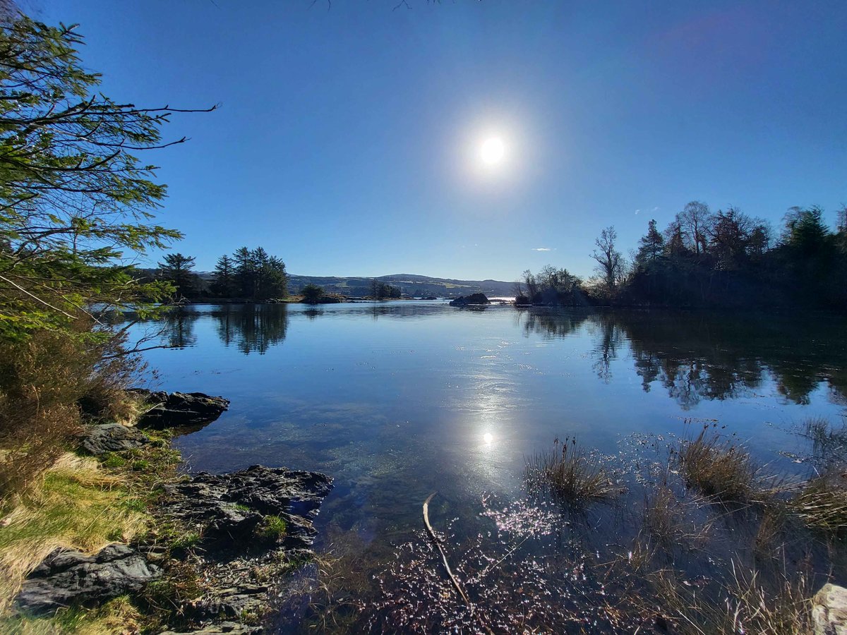 View of Mulroy Bay taken from the Woodquarter Forest Trail in Donegal.
inishview.com/activity/woodq…

#Donegal #wildatlanticway #LoveDonegal #visitdonegal #bestofnorthwest #visitireland #discoverireland #Ireland #KeepDiscovering #LoveThisPlace #discoverdonegal #govisitdonegal