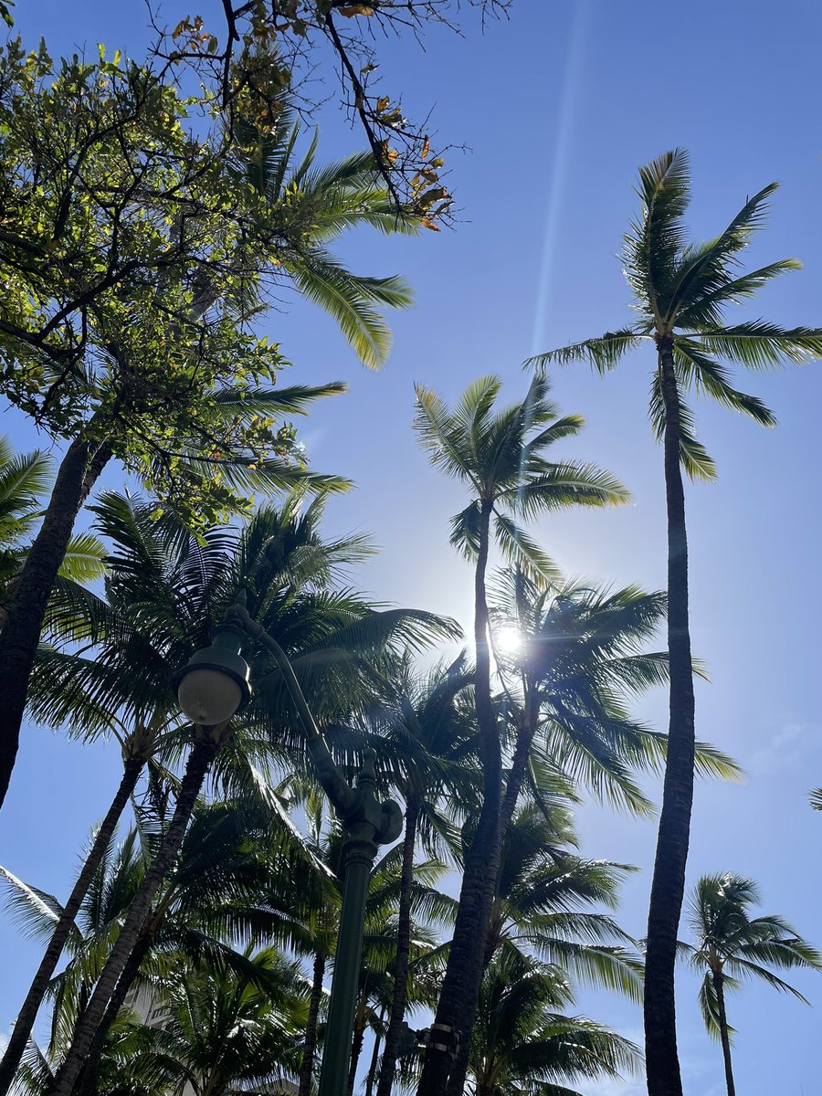 a9hrn54's tweet photo. 人生初Hawaii初海外遠征🌺生涯で海外遠征をする日なんて、出会った中学生の頃の自分は全く想像してなかったな🤔崇拝レベルのメンバーと近付けなさすぎて、後退りして出てきてしまったのは少しだけ後悔🤦‍♀️もうこれから先ない経験と多幸感を与えてもらって感謝🥰大好きっ！ https://t.co/4kgct2qxrM