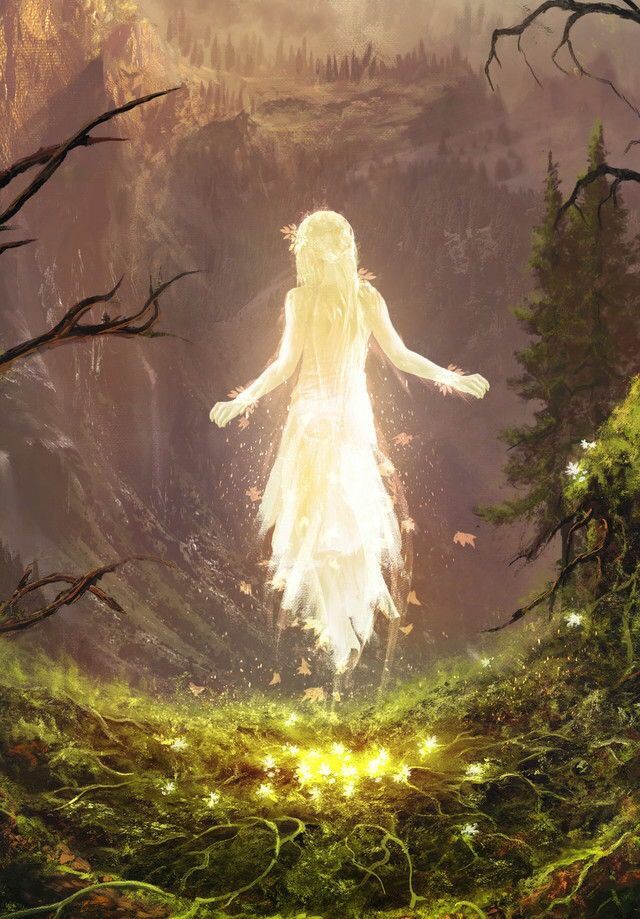 Druantia, the 'White Goddess' or the 'Eternal Tree Mother' She is Robert Graves' mythical 'Queen of the Druids' who provides protection for trees and all beings of the forest; and represents fertility and knowledge #goddess #mythology #Druids (artist unknown)