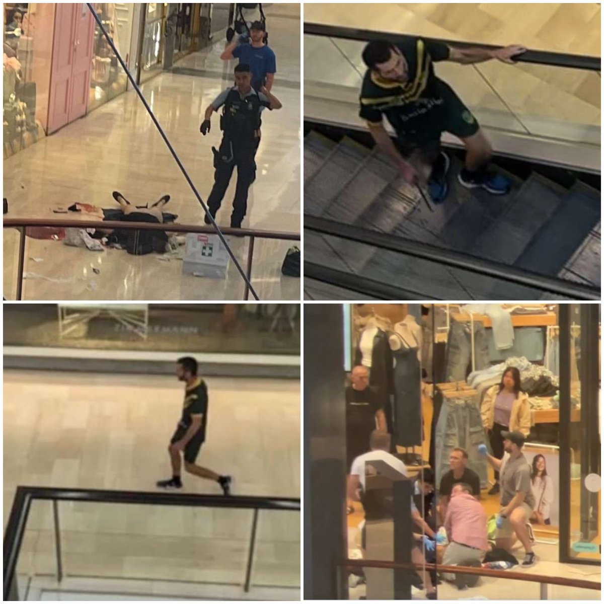 נועה מגיד | Noa magid tweet media