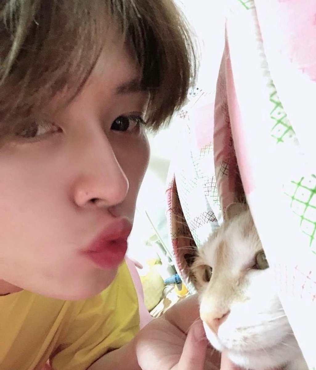 nekousa1998's tweet photo. 96 /  Tokyo  /  Lee know🐰
同他◎
♡ or ↻で気になった方お迎え行きますೀ
#StrayKids好きな人と繋がりたい
#stayと繋がりたい 
#stayさんと繋がりたい https://t.co/P5m5b8piIG