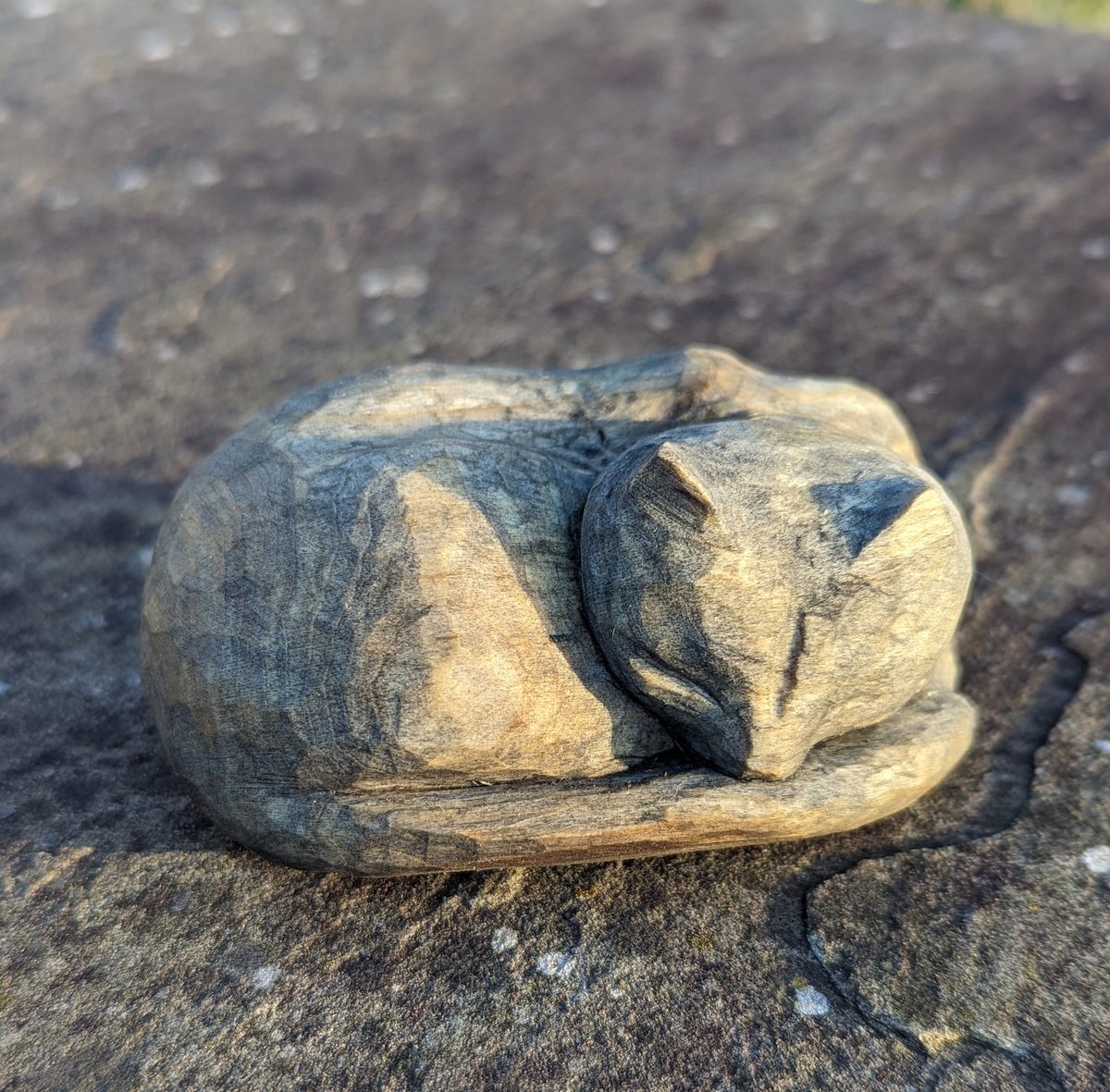 Sleepy little cat in the evening sun 🐱🌞

@Madein_Mon @RobertSorby #woodcarving #whittling #woodlove #carvedcharacter #handcarved #slöjd