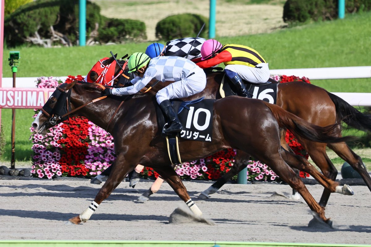 InselTCofficial's tweet photo. 福島11レース ラジオ福島賞にて
＃クリダーム
が、1着となり新馬戦以来、待望の2勝目をあげました。
出資会員の皆様おめでとうございます。
＃インゼルサラブレッドクラブ
＃石橋脩騎手 https://t.co/bHWcpPcsgS