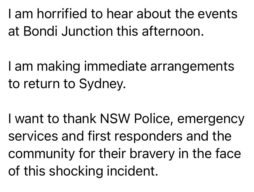 CHRIS MINNS RESPONSE TO BONDI JUNCTION INCIDENT