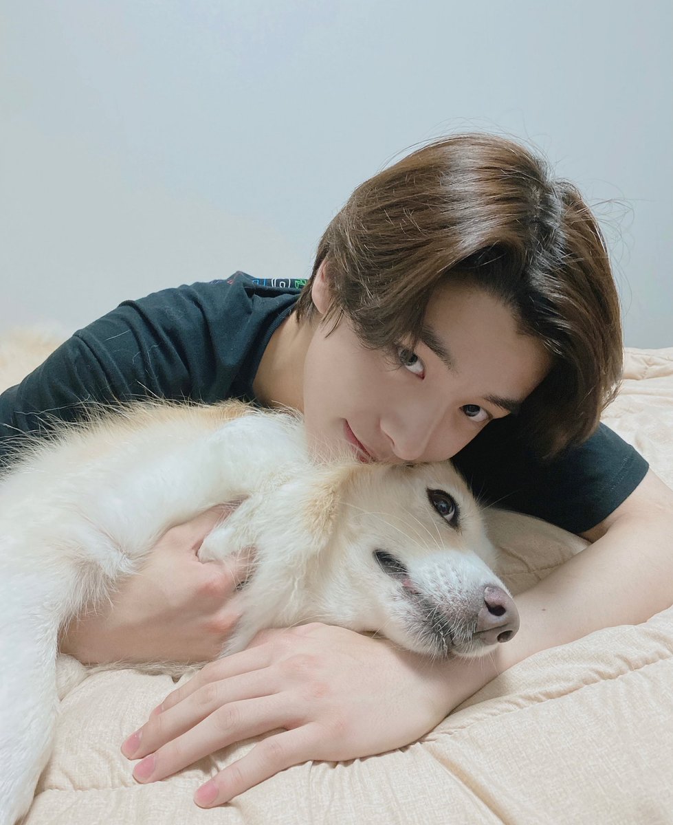 holdontightjake's tweet photo. 레일라 ➕침대 = 💯 https://t.co/KtaUB3GQx8