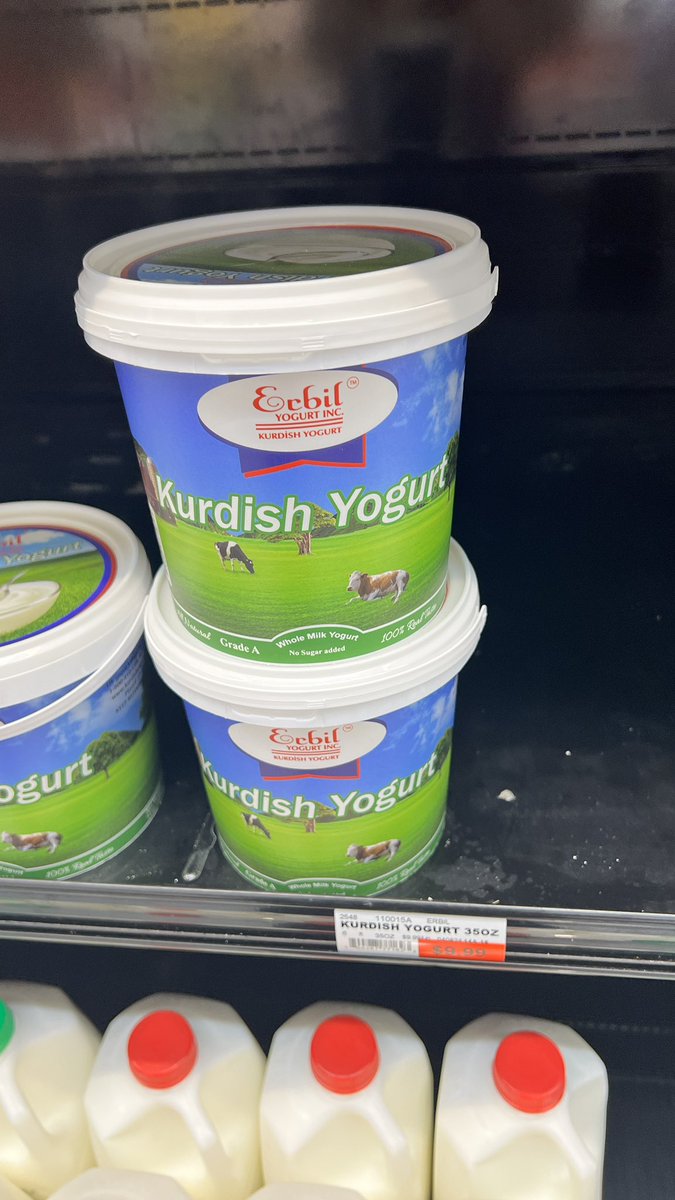 Yoğurdu Kürtler mi buldu? Bugün markette Kürt yoğurdu gördüm. Genelde Yunan Yoğurdu yazardı. Turkish Yogurt diye bir şey görmedim. Ama ilk defa Kurdish Yogurt gördüm. Yoğurt Kürt mü Yunan işi mi?