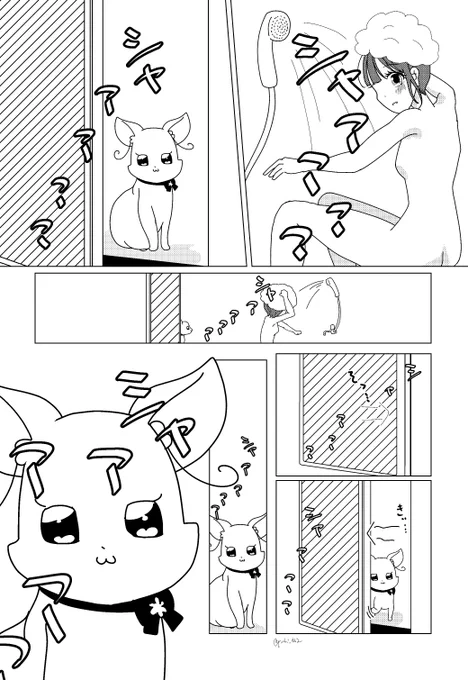 お風呂が気になるユキ 