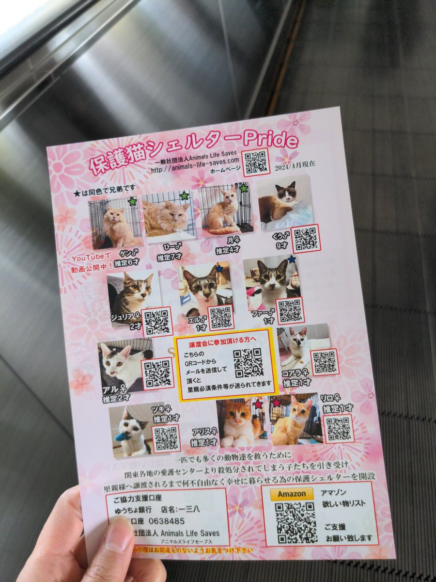 桜木町駅前で保護猫の活動してたからみんな募金して。
