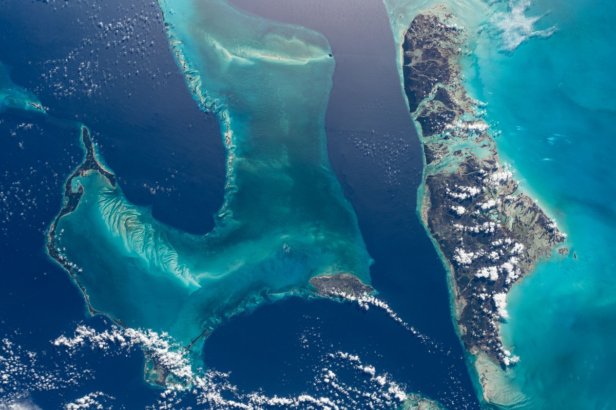 Stunning: The island nation of the Bahamas as seen from space

(Credit: NASA Johnson)