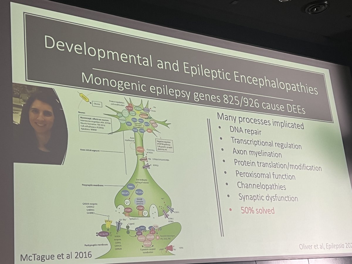 GETA (@geneticepilepsy) on Twitter photo "Rare epilepsies, as a group are not so rare, 1 in 591 children have a DEE" <a href="/ingridscheffer/">Prof Ingrid Scheffer</a>
#GETA2024 #DEE #raredisease "Rare epilepsies, as a group are not so rare, 1 in 591 children have a DEE" <a href="/ingridscheffer/">Prof Ingrid Scheffer</a>
#GETA2024 #DEE #raredisease