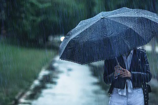 ہَوا چلی تو نئی بارشیں بھی ساتھ آئیں
زمیں کے چہرے پہ آیا نکھار کا موسم
#RainyDay