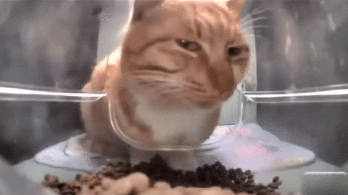 "To be honest, I don't check my portfolio very often"