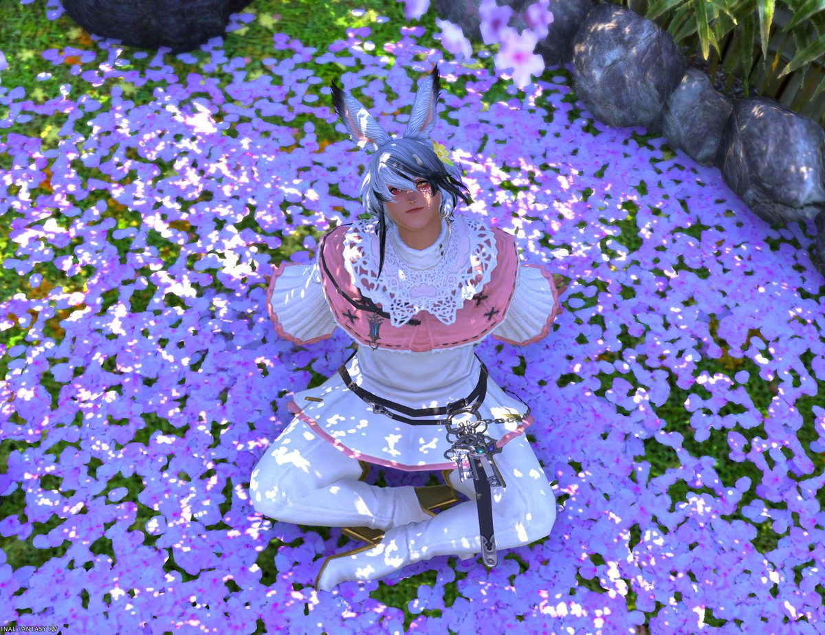 CelestealWaters's tweet photo. Very chill in the flowers 🌸🌸🌸

#flowerfestap #Viera https://t.co/KbIfazH3P5