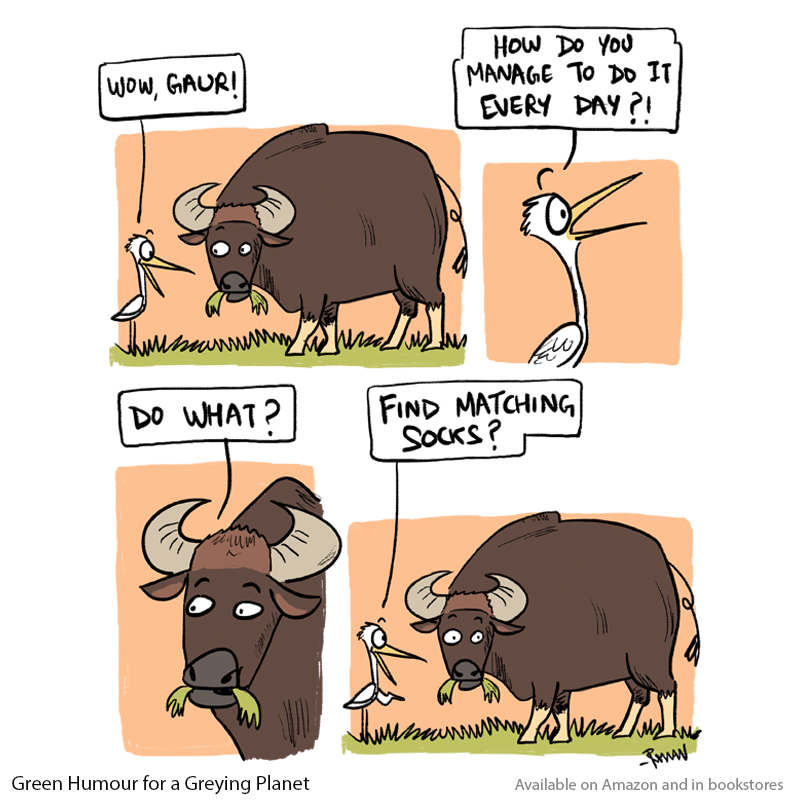 If I wished to be granted one quality of the #Gaur, it wouldn't be its brute strength, but this: Cartoon from my book #GreenHumour for a Greying Planet, on Amazon and in bookstores: amazon.in/Green-Humour-G… #cartoons #comics #wildlife #India #animals #nature