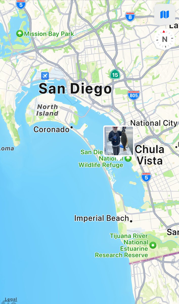 rc_wynn's tweet photo. @socalsalty Caught from shore, I presume?   👍

I caught mine in South Bay San Diego.  That's not where I usually fish but it worked for me yesterday. https://t.co/zfx8DWvF8G