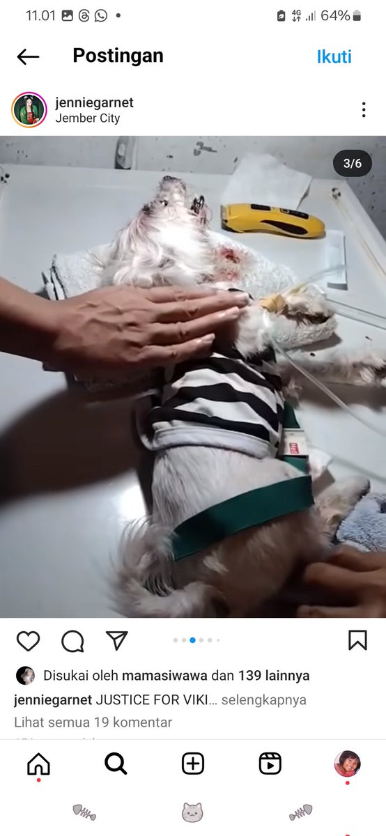 diandewis's tweet photo. Twitter, please do your magic! Bantu retweet please
Kejadian di Jember, anjing bernama Vicky dibunuh sama dua anak beranjak remaja dengan cara dipukul pake paving. Kronologi dan muka pelaku terlampir https://t.co/zZNXdQuzY6