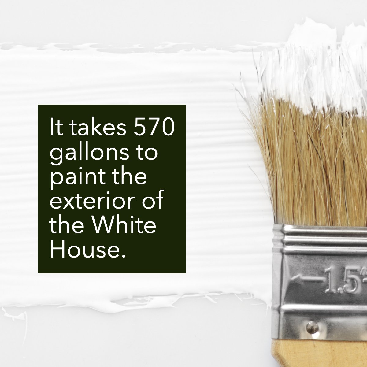 Did you know this? 😮 #whitepaint #paint #exterior #whitehouse