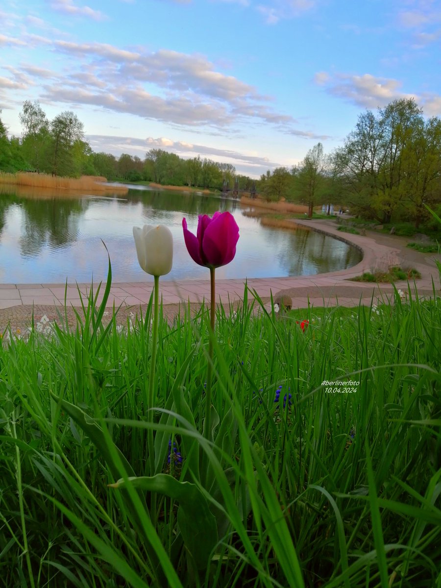 🌼 Good Morning! 🌞 Happy Saturday! 💚 Happy Weekend! 💚 #Berlin