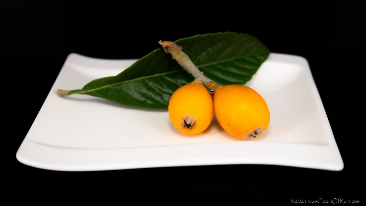 'Loquat' #Food #Photography #FoodPhotography #ZhangShenJi #Foodie #Fruit #HomeGrownFood #Garden #Gardening #Harvest