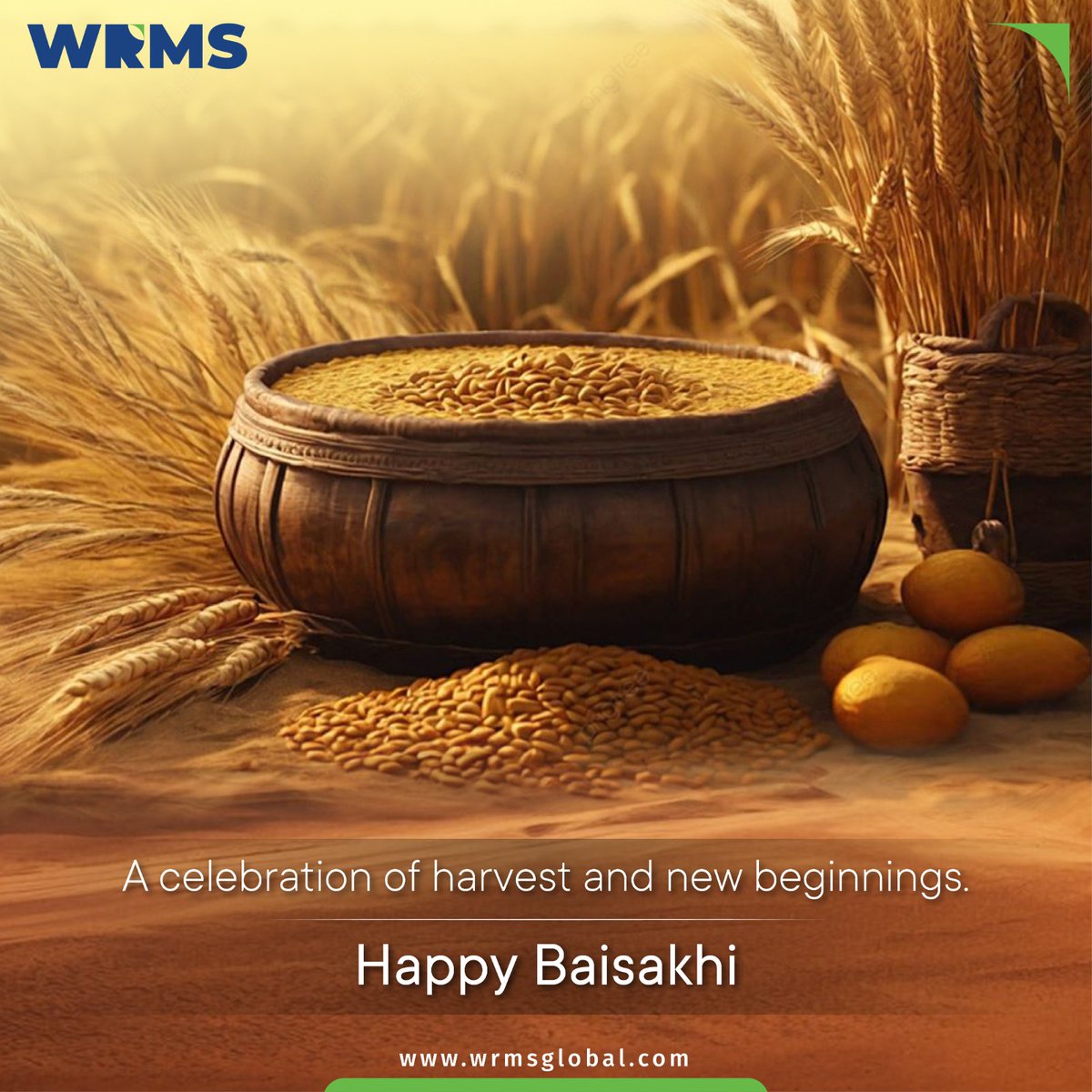 Weather Risk Management Services tweet media