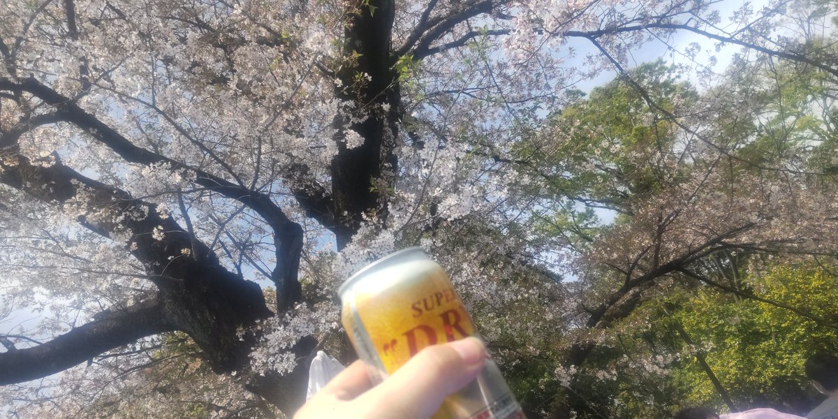 今日は駒沢公園にて
自由が丘の友人とお花見🌸🍶✨

#今日も泥酔