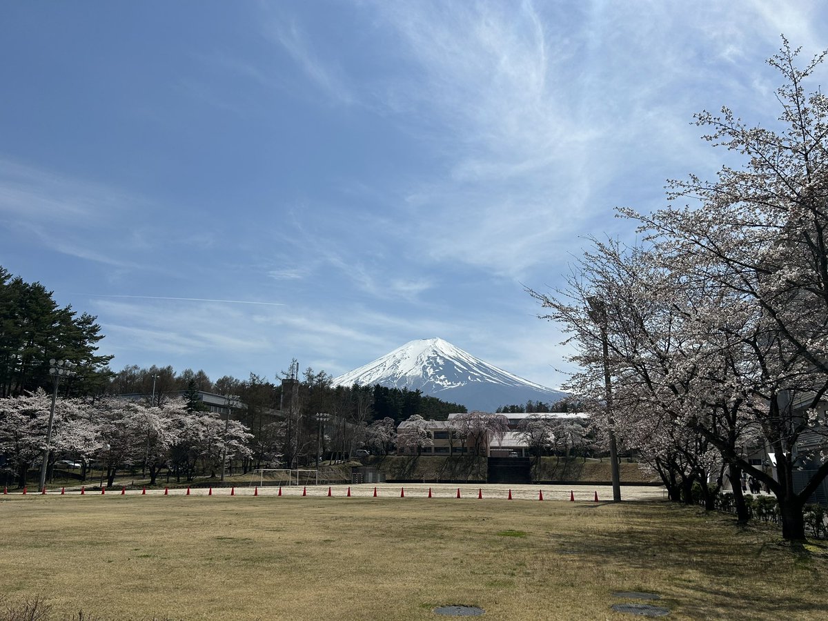 富士吉田つきました！桜が満開で綺麗ですね✨
MASはスクエアから見てゆり寮の左奥、春草舎でお待ちしております☺️