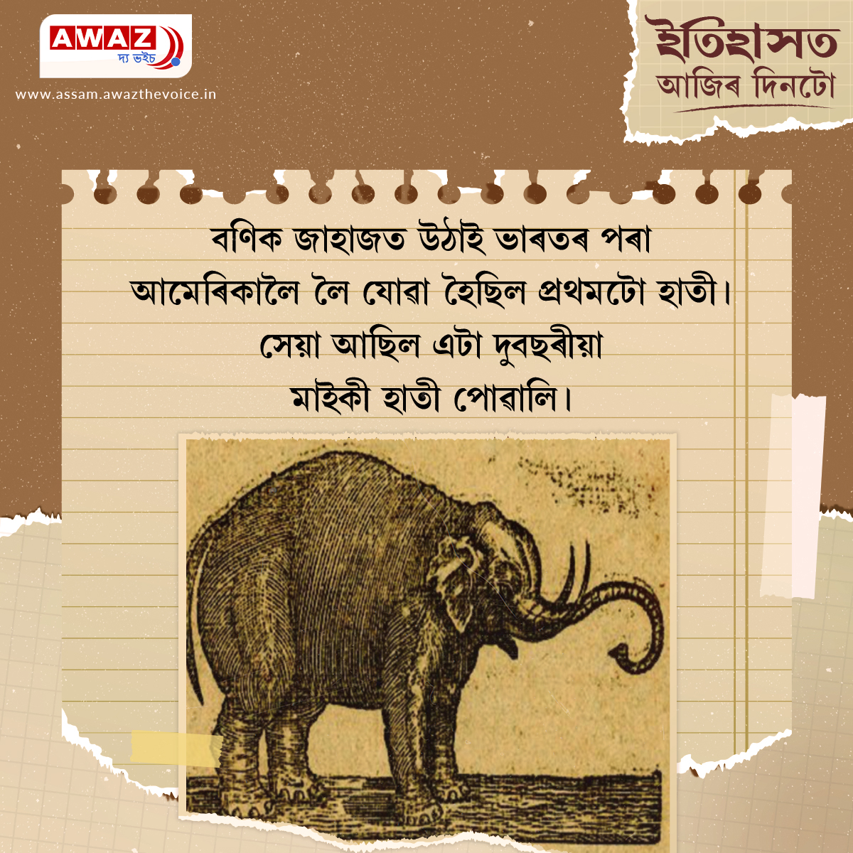 AssamAwaz's tweet photo. Today in history
#elephantlover #elephants  #americaelephant #merchantship @AssamAwaz @mygovindia  @CageTheElephant https://t.co/MEn8GIr4Cy